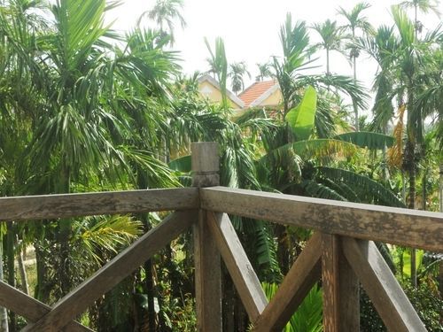 Lila Homestay Hoi An Exterior photo